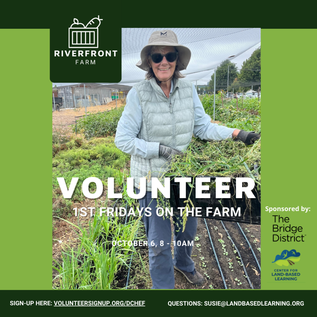 First Fridays On The Farm Volunteer With Clbl The Bridge District